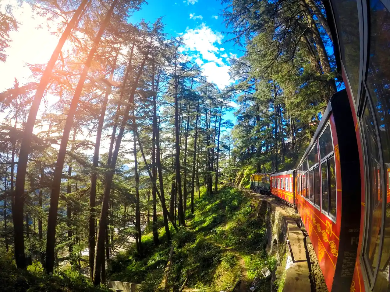 The Kalka–Shimla toy train through deodar forest
